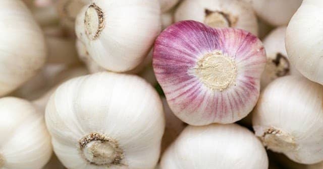 Sarımsak ve Özellikleri Resim