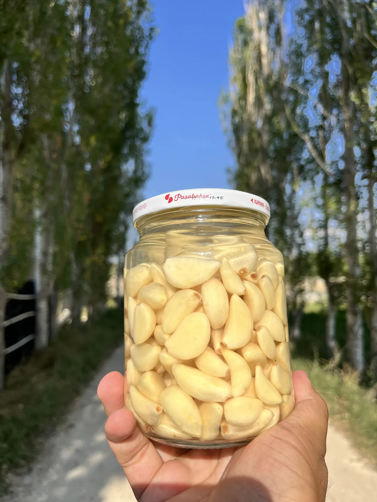 Doğsar Sarımsak üretim ve ürün fotoğrafı 07